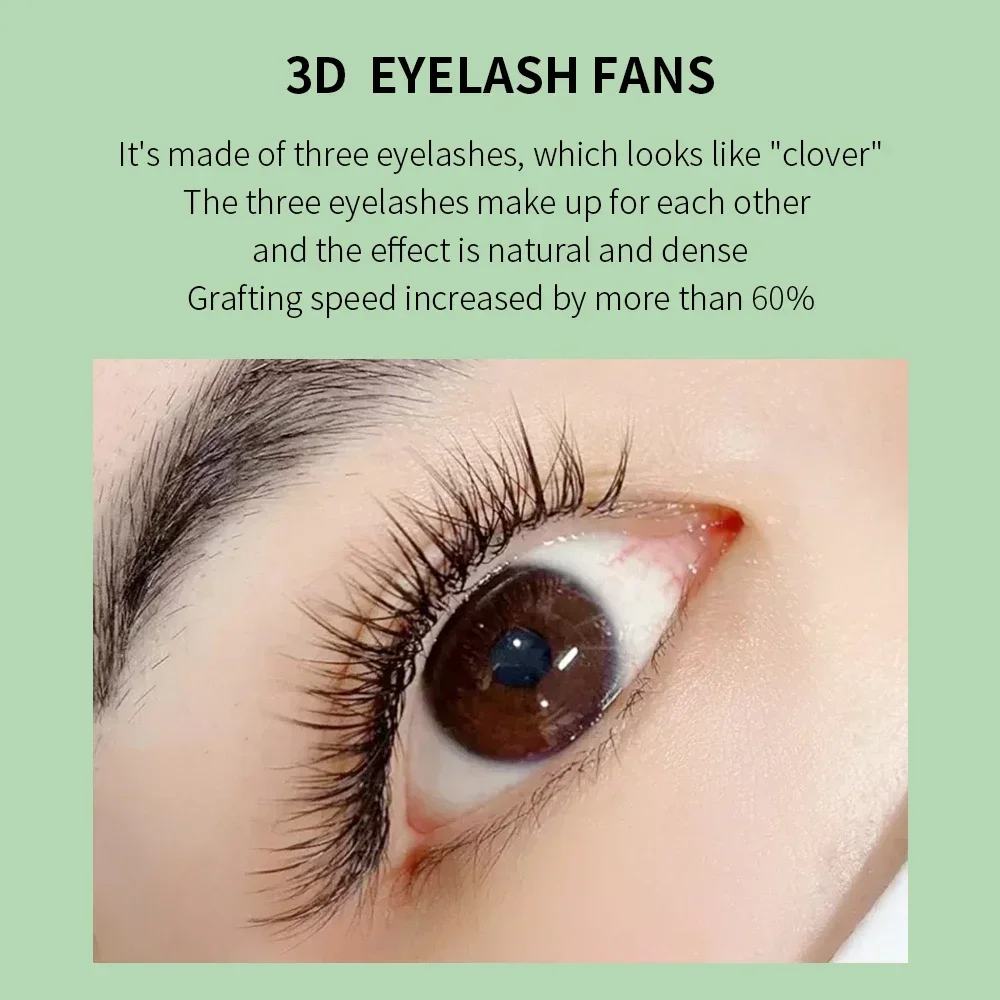 GLAMLASH 3D/4D/5D W Hình Hàng  - đánh giá và giá Eyelash Extension Volume Styles