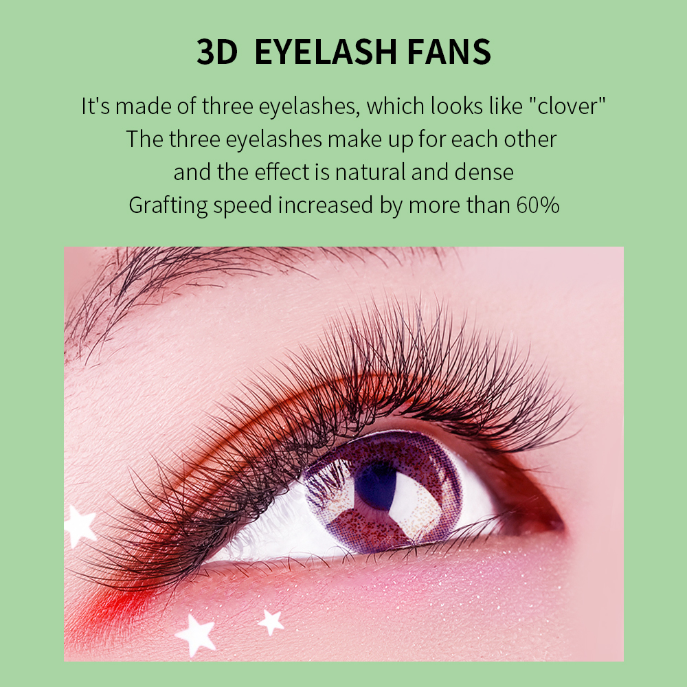 GLAMLASH W Hình Nối Mi 3D4D5D  - đánh giá và giá Eyelash Extension Volume Styles